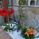Case de vacanță Purple_rose_apartment